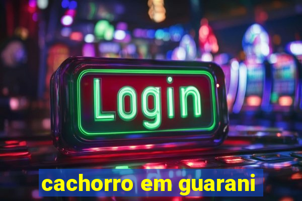 cachorro em guarani